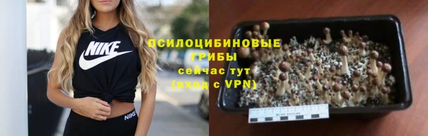 гашишное масло Богородск