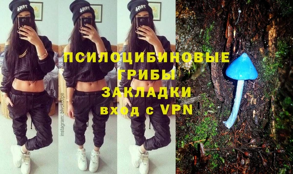 a pvp Богданович