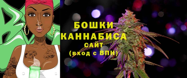 первитин Богородицк