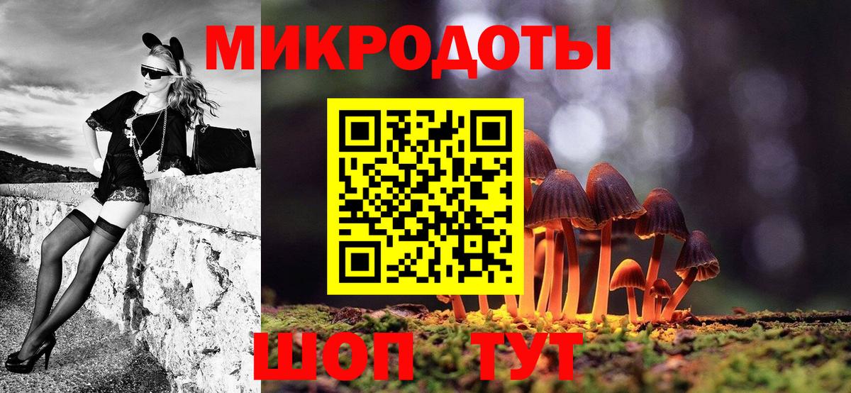 Сланцы  Галлюциногенные грибы Psilocybine cubensis  Вход с VPN 