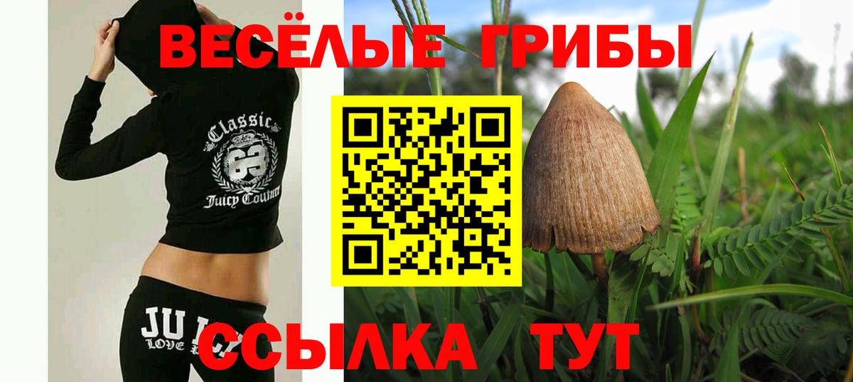 Галлюциногенные грибы мицелий Сланцы